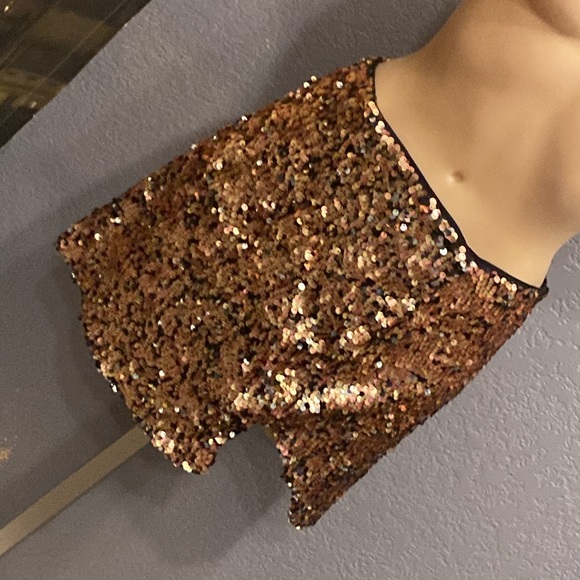 FREE PEOPLE - NWT - skirt: bronze lined sequined w front slit & rear zipper - 12 - Picture 16 of 16